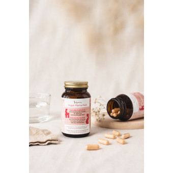 Laveen Vega Mama Multi tehotenské vitamíny s aktívnou kyselinou listovou 30 vegánskych kapsúl